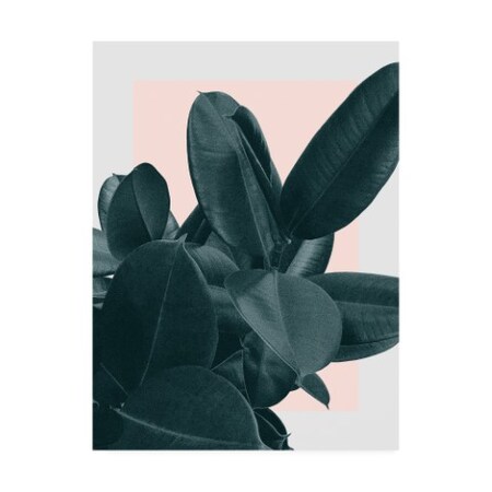 Trademark Fine Art Hanna Kastl-Lungber 'Tonight' Canvas Art, 24x32 IC01926-C2432GG